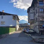 Artistic Neon * Банско